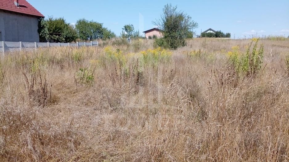 Teren intravilan de vânzare în Avrig | 1.000 mp | PUZ aprobat - Poză 3