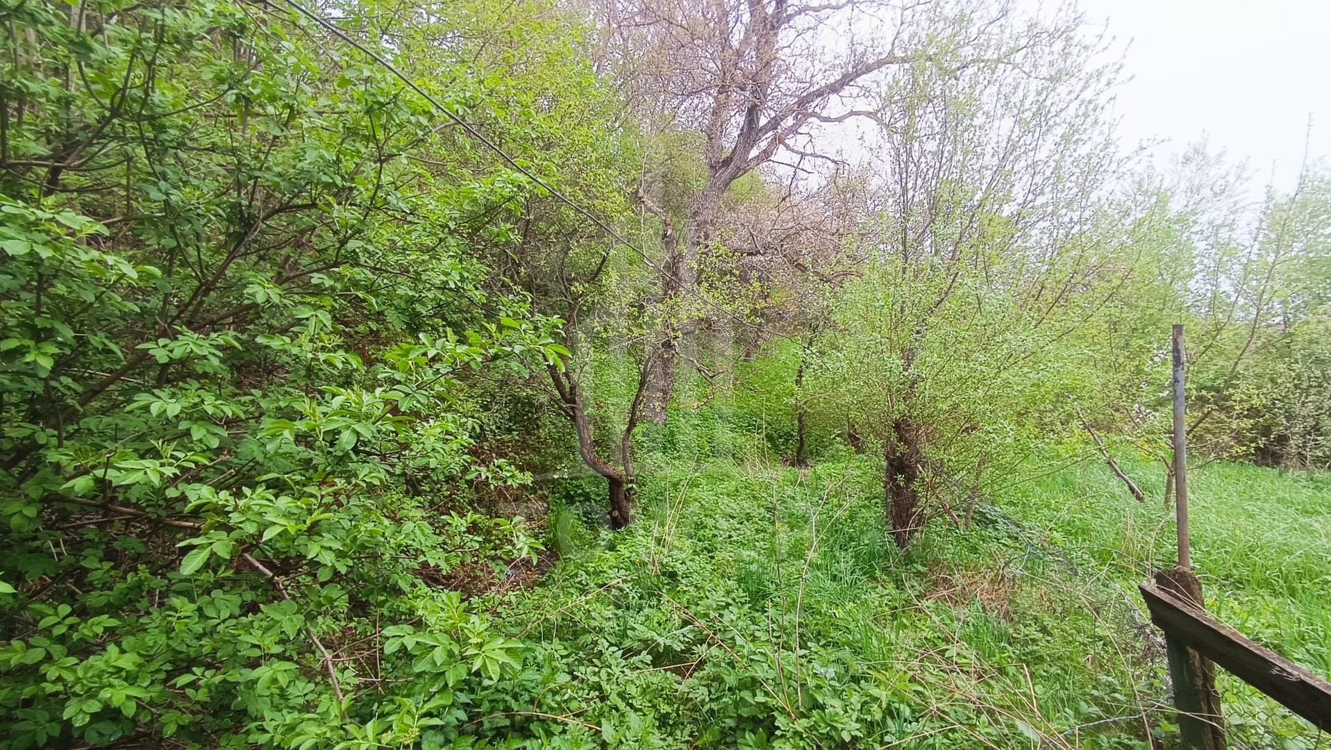 Gospodărie tradițională de vânzare în Poiana Sibiului – doar 25.000 Euro - Poză 7