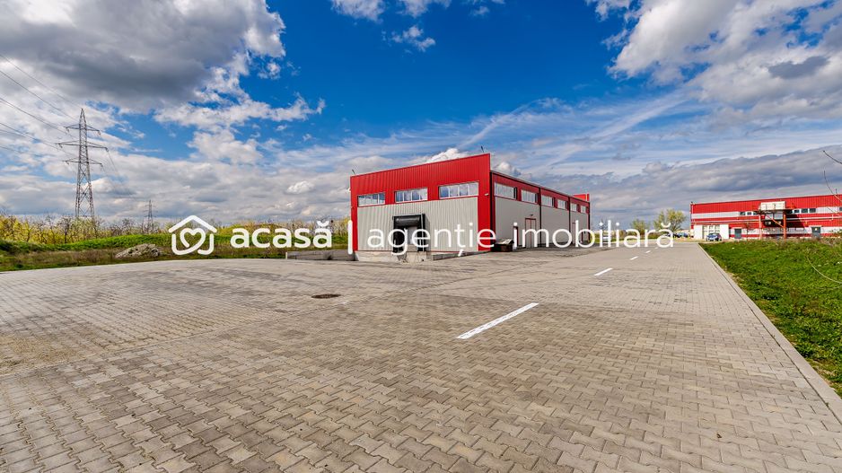 Hală industrială Parc Industrial UTA 2 Arad - Poză 4
