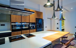 Triplex cu View Panoramic Herastrau Parc - Poză 2