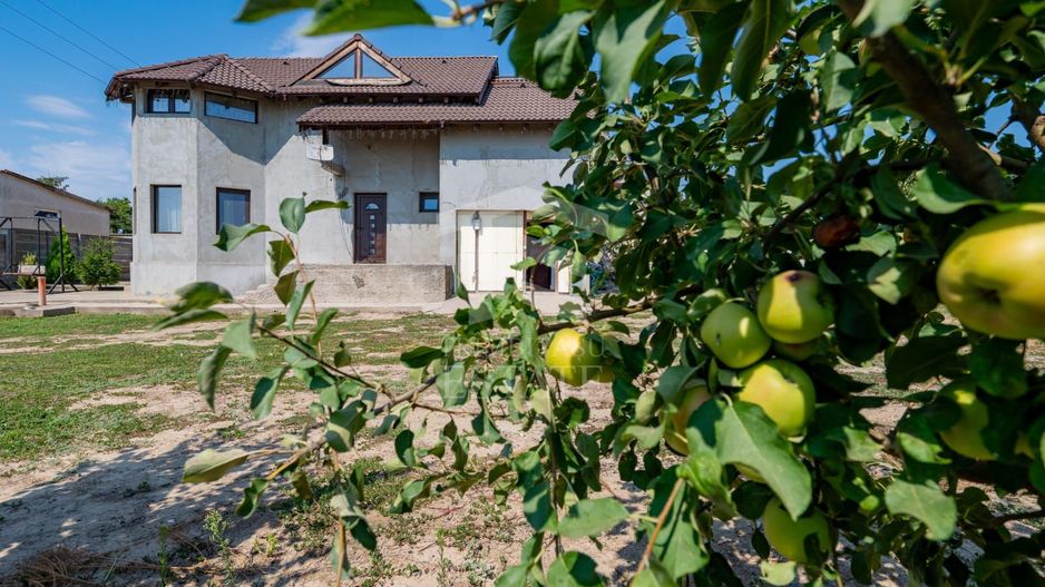 CASA P+M | 5 CAMERE | TEREN 1000 MP - Poză 2