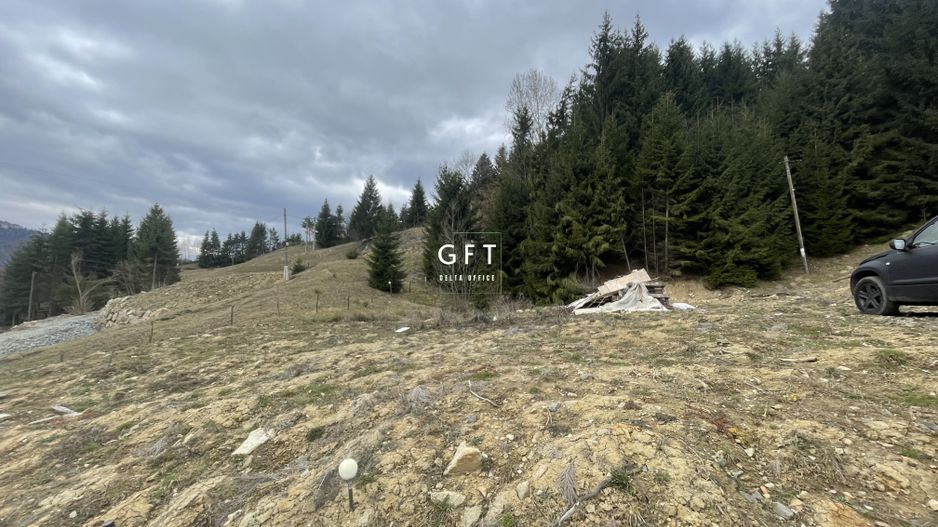 Teren parcelabil cu acces rapid la lacul Colibita - Poză 9