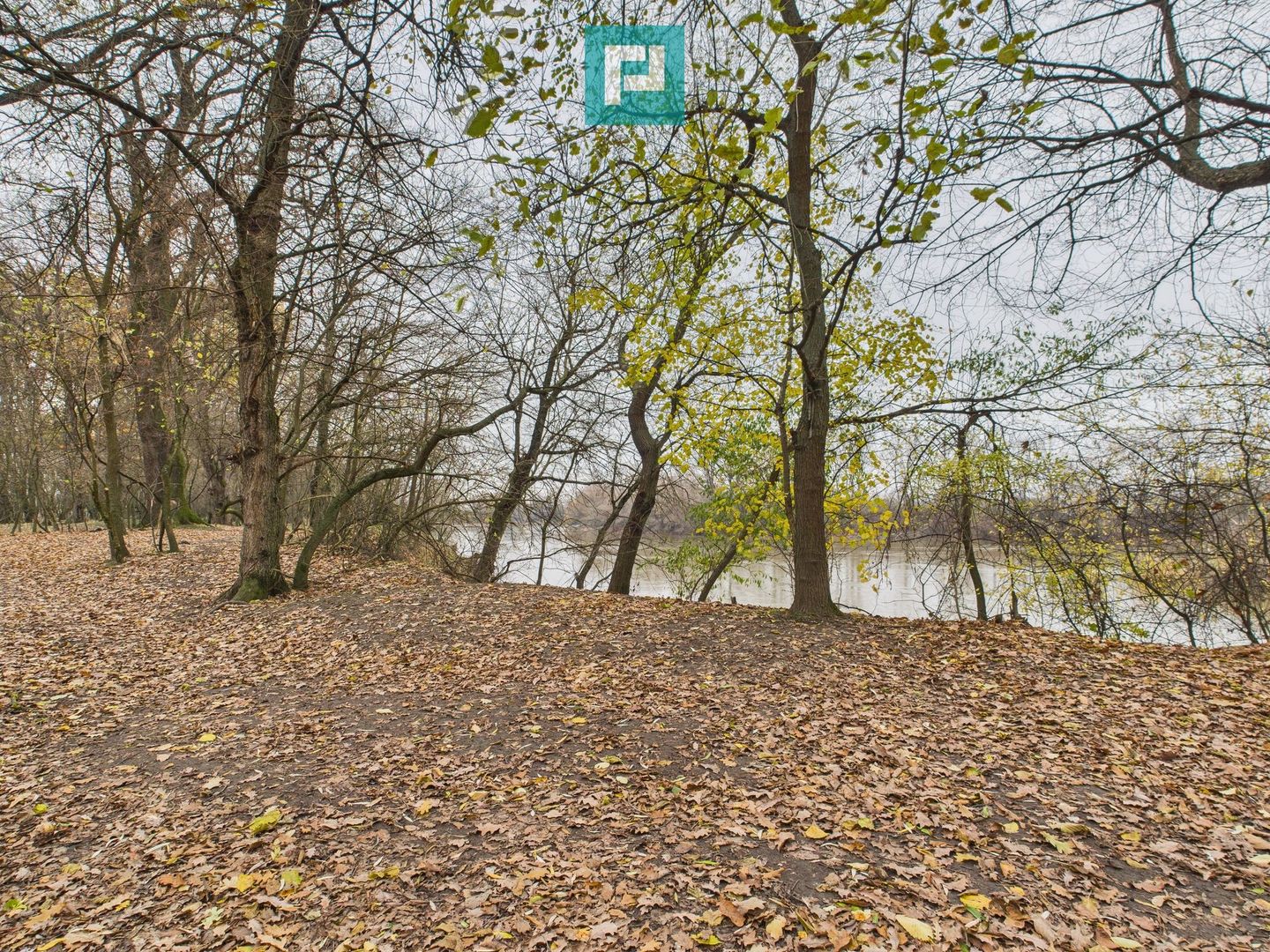 Teren pe malul Muresului- oportunitati multiple - Poză 25