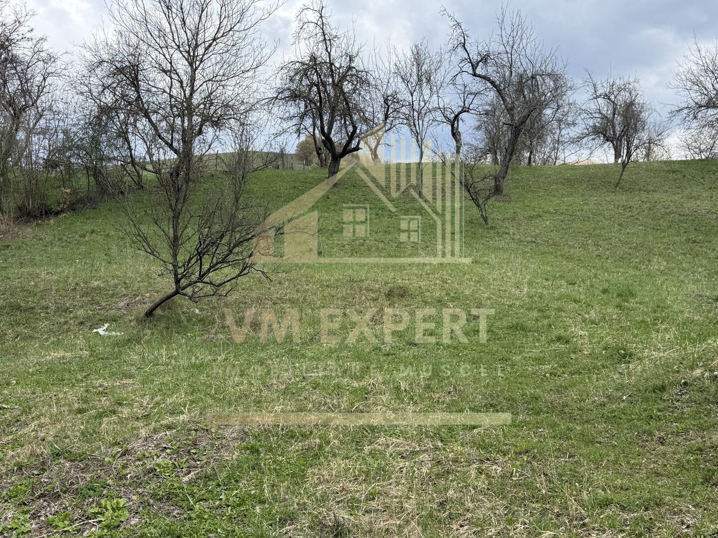 TEREN INTRAVILAN 4365 MP POENARII DE MUȘCEL  JUDEȚUL ARGES - Poză 29