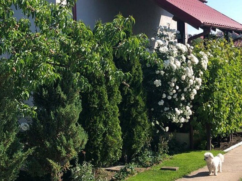 Vila - parter + mansarda -   Sendreni,  jud. Galati - Poză 2