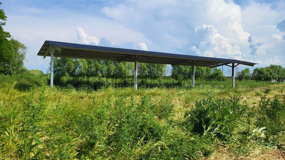 FERMA ZOOTEHNICA DE VANZARE - Poză 4