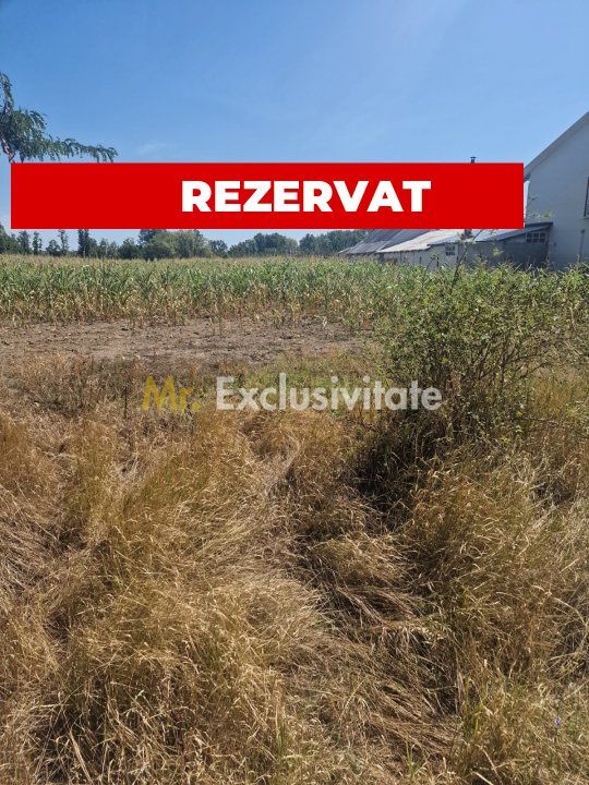 Teren Mosoaia, Lazaresti! - Poză 1
