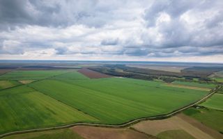 Teren extravilan în Sânnicolau Mare 14.6 ha - Poză 2