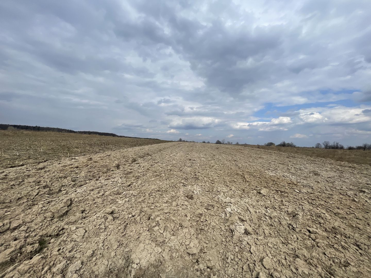 TEREN EXTRAVILAN | 23 ARI | HORODNIC DE SUS - Poză 4