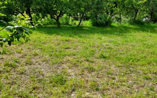 Teren de vis în Faget: Oportunitate unică pentru construirea casei tale ideale. - Poză 8