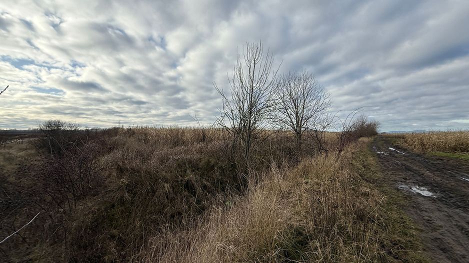 VAND TEREN 46 ARI | VOLOVAT | 47.000 EURO | - Poză 4