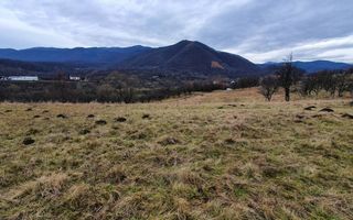 Rădăcini noi, visuri vechi- Teren de vanzare in Cisnadioara, Sibiu - Poză 2