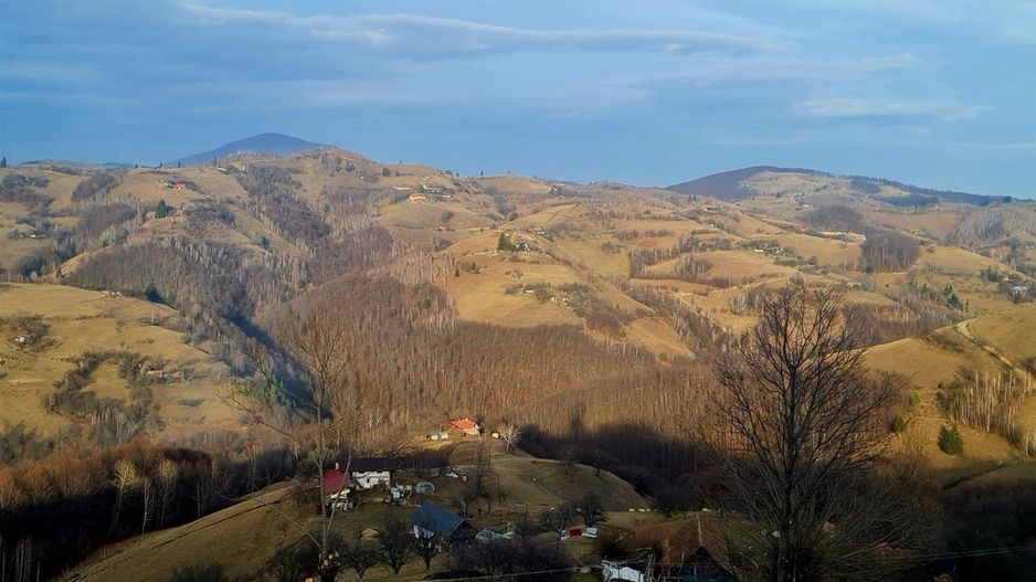 Oaza de liniste si frumusete, reconectare cu natura, 16.000 mp, Poiana Marului - Poză 4