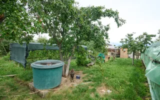 Casă cu teren generos – Vedea-Arges - Poză 35