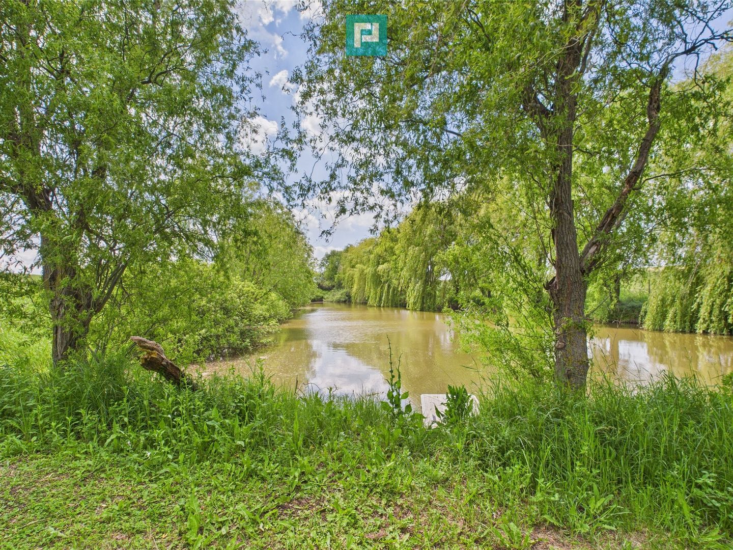 Teren cu baltă- oportunități multiple la Fibiș - Poză 4