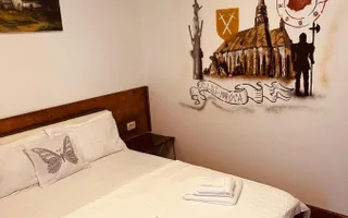 AFACERE PENSIUNE CU 8 CAMERE DE ÎNCHIRIAT - ZONA BĂNEASA - Poză 18