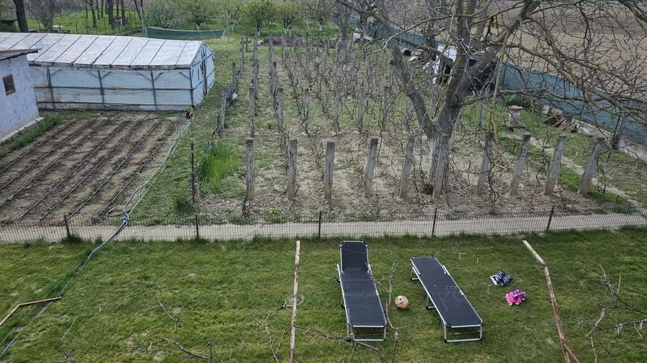 Casa in Comuna Nuci IF - Poză 3