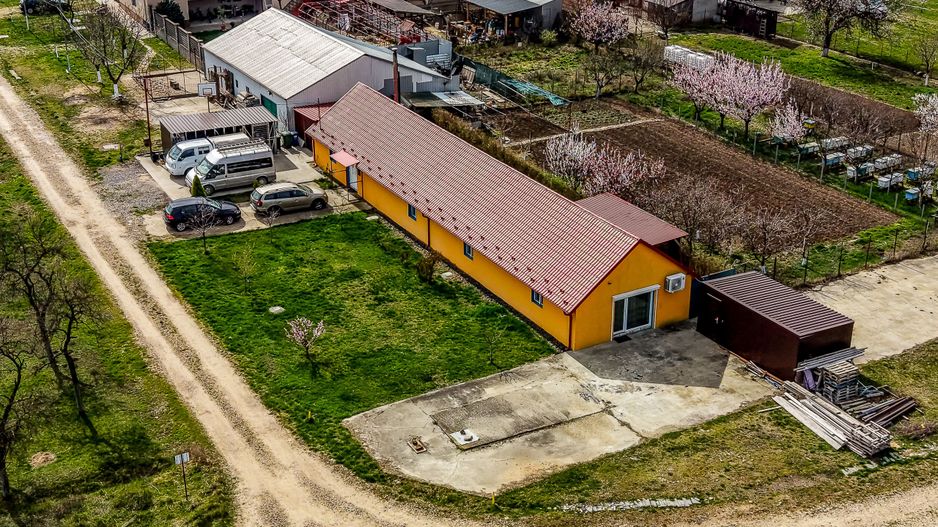 Casă modernă (2021) – Priveliște panoramică spre Lunca Mureșului - Poză 9