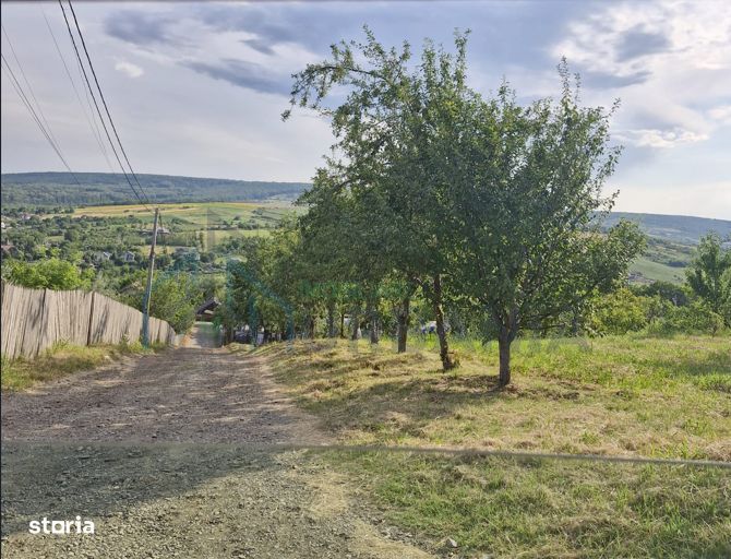 Teren Chicerea – 740 mp lângă școală, priveliste superba - Poză 2