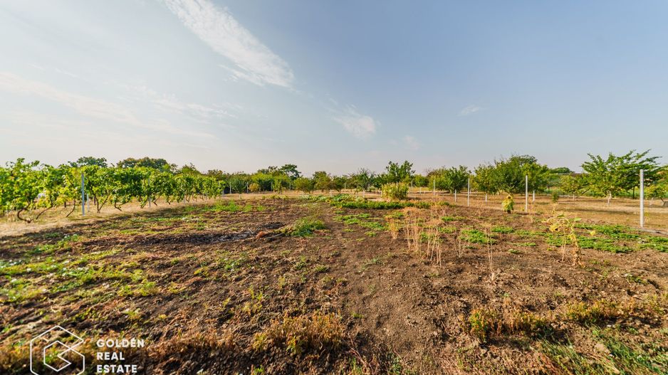 Casa in Felnac, 5 camere, teren de 1440 mp, comision 0% - Poză 35