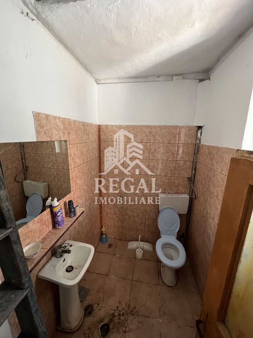 Casă de vânzare în Călanul Mic –  2 clădiri, curte, grădină, garaj - Poză 14