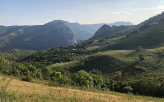 BLACK FRIDAY  I Teren cu potențial turistic I 3174 MP | TransApuseana - Poză 4