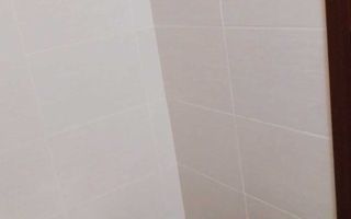 Apartament de Inchiriat | 36 MPU | Turnișor | Bloc cu lift - Poză 7