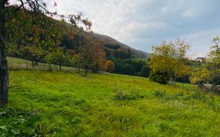 Casa + teren 1700 mp langa Padure Bran/ Predelut - Poză 6