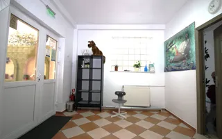 Vilă 7 camere, 336 mp, Drumul Taberei, locuire și investiție - Poză 15