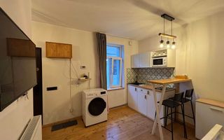 1 camera, modern, PET FRIENDLY, Semicentral, Calea Dorobantilor, FSPAC - Poză 2