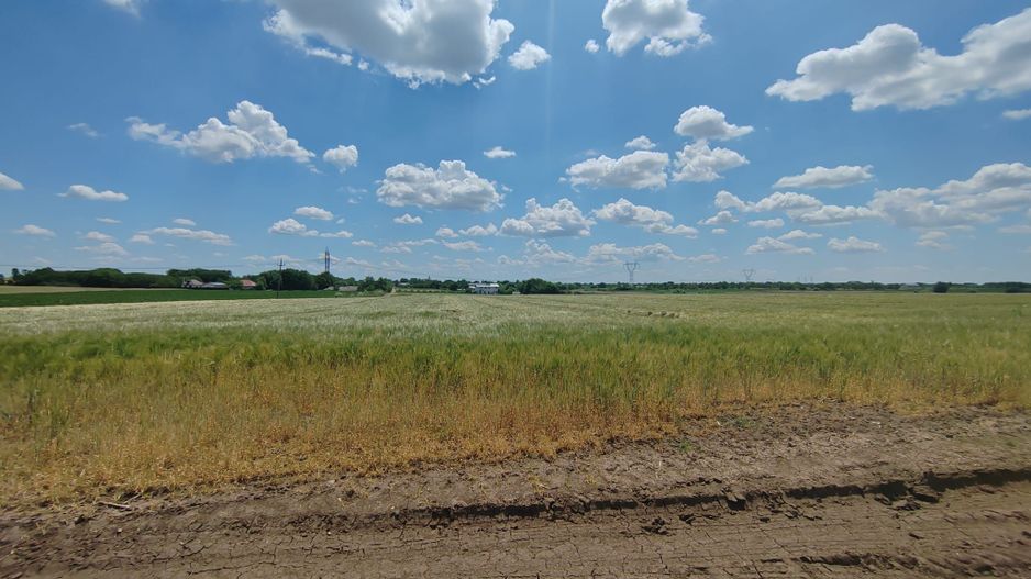 Frumusani Postavari 30 minute de Aparatorii Patriei super oferta 7 eur - Poză 3