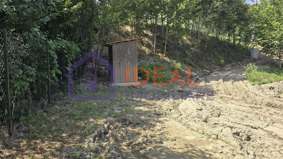 Teren extravilan 2.300 mp – Cârțișoara, județul Sibiu - Poză 6