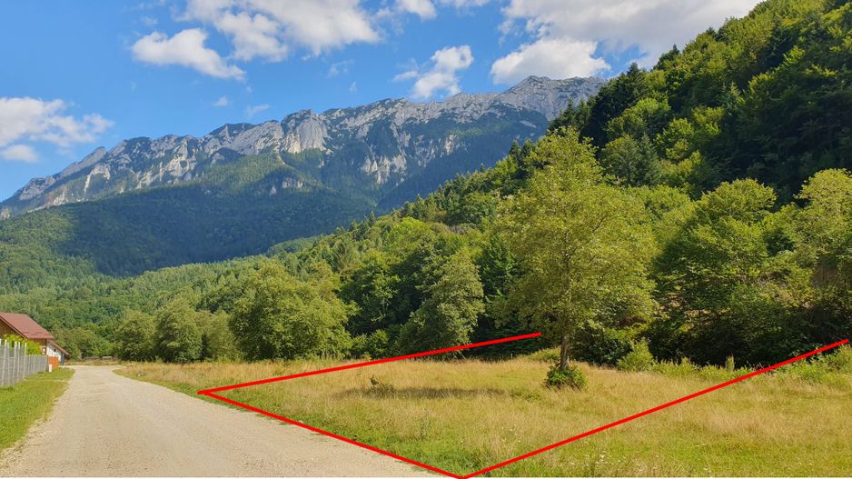 Superb!Zarnesti, Piatra Craiului, teren intravilan 1000mp, acces direct  la rau - Poză 3