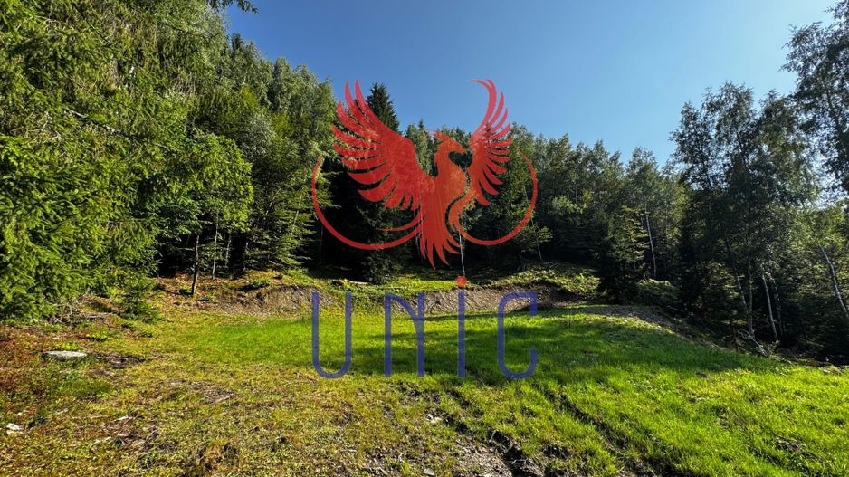 18000 mp de natura pura ,Lupeni, langa Straja - Poză 30