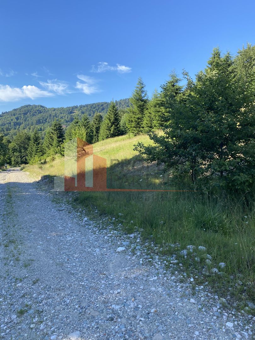 Teren 14400 mp la iesire din Rasnov inspre Pârâul Rece-Trei Brazi - Poză 7