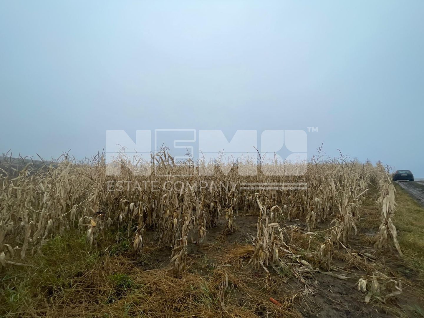 TEREN EXTRAVILAN | DOUA PARCELE 2.84 HA| IDEAL AGRICOL | DARMANESTI - Poză 13