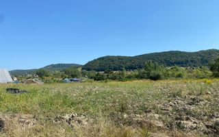 Teren 4100 mp - oportunitate investitie - Bistrita Zona Ranahum - Poză 7