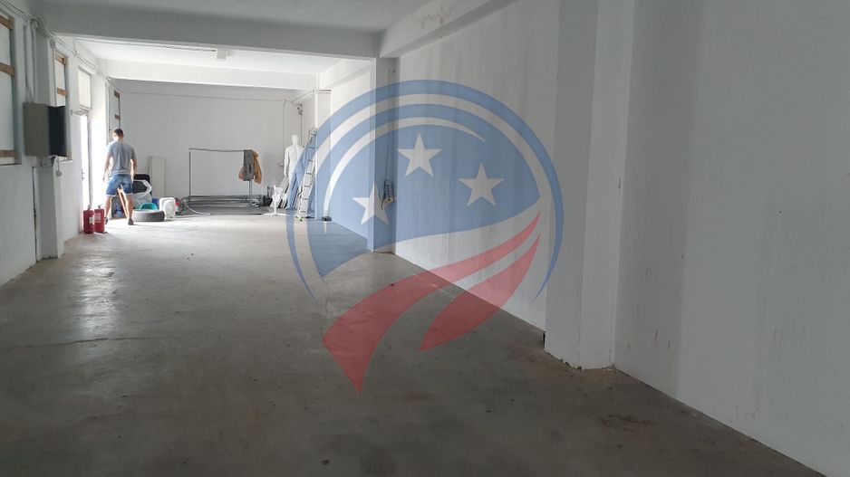 2 HALE de 357 mp si 474 mp  si teren intravilan de 5423 mp  Isalnita - Poză 5