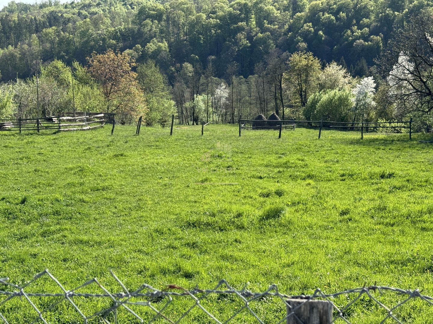 TEREN INTRAVILAN 2592 MP,  ALBESTI DE MUSCEL, ARGES - Poză 12