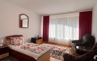 Vilă 816 mp | 20 ari teren | Valea Roșie | Ideală pentru investitie - Poză 23