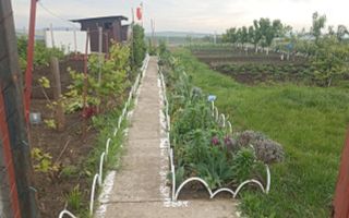 Teren Intravilan 470 mp   Horlești, Comuna Rediu (Proprietar) - Poză 4