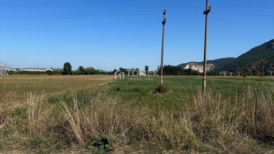 Teren industrial,Cucului-INA-Avicola - Poză 6