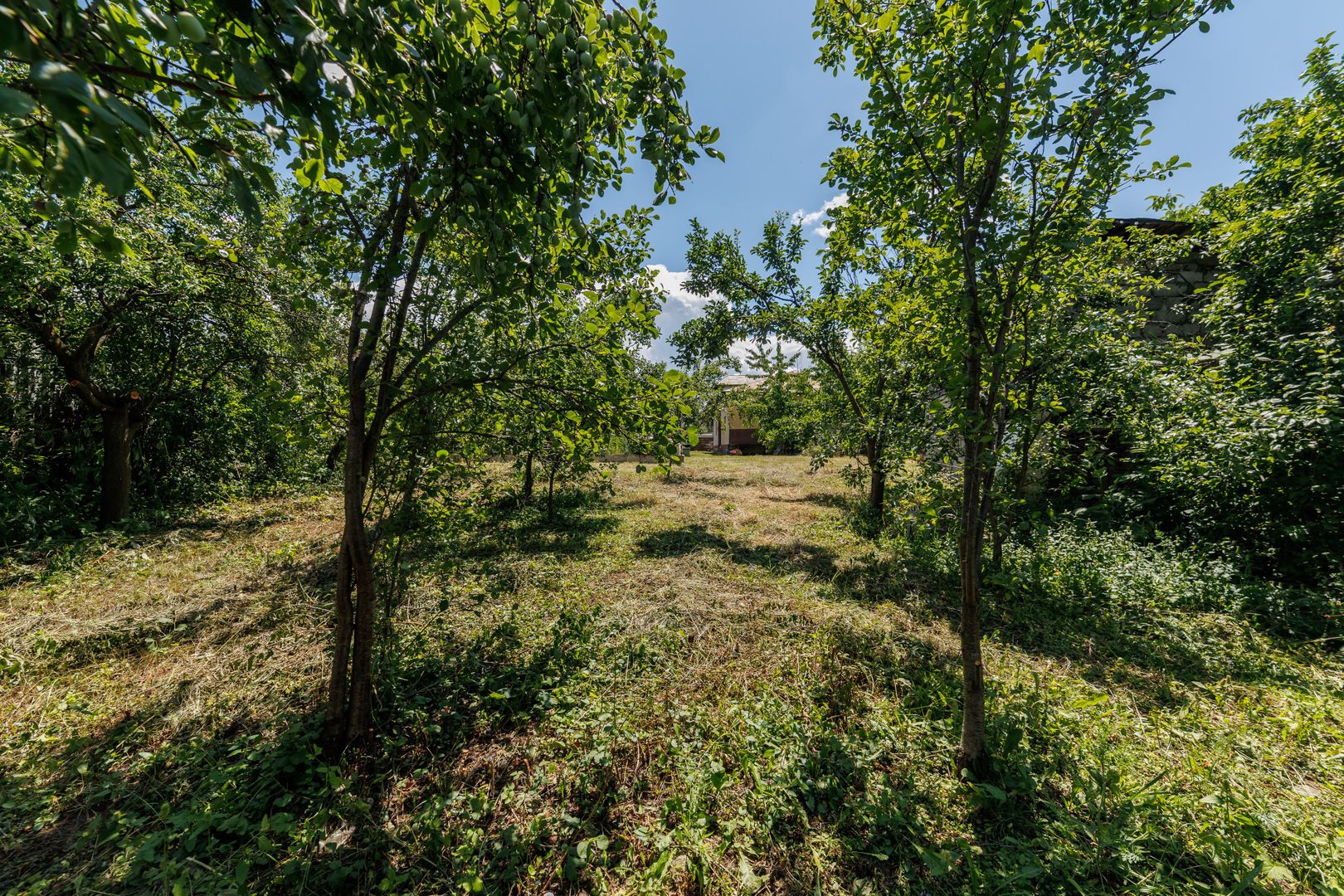 Casa cu teren - Prundu-Ideala pentru locuit sau dezvoltare imobiliara - Poză 15