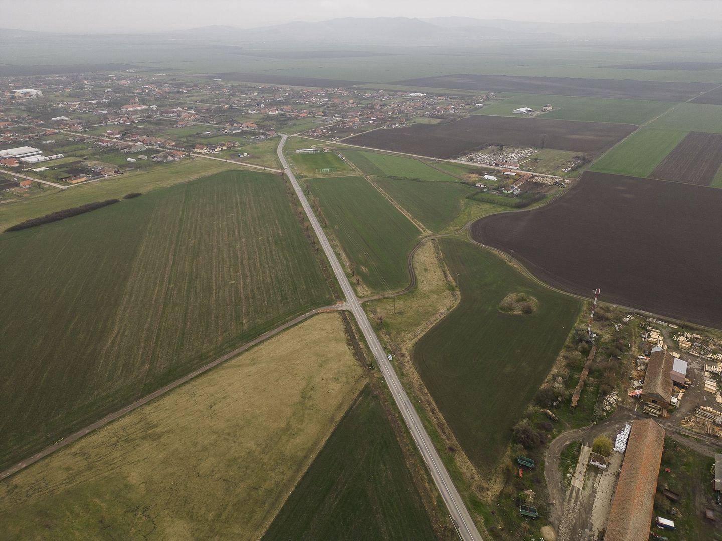 Teren 76.000mp între Sântana și Caporal Alexa - Poză 2