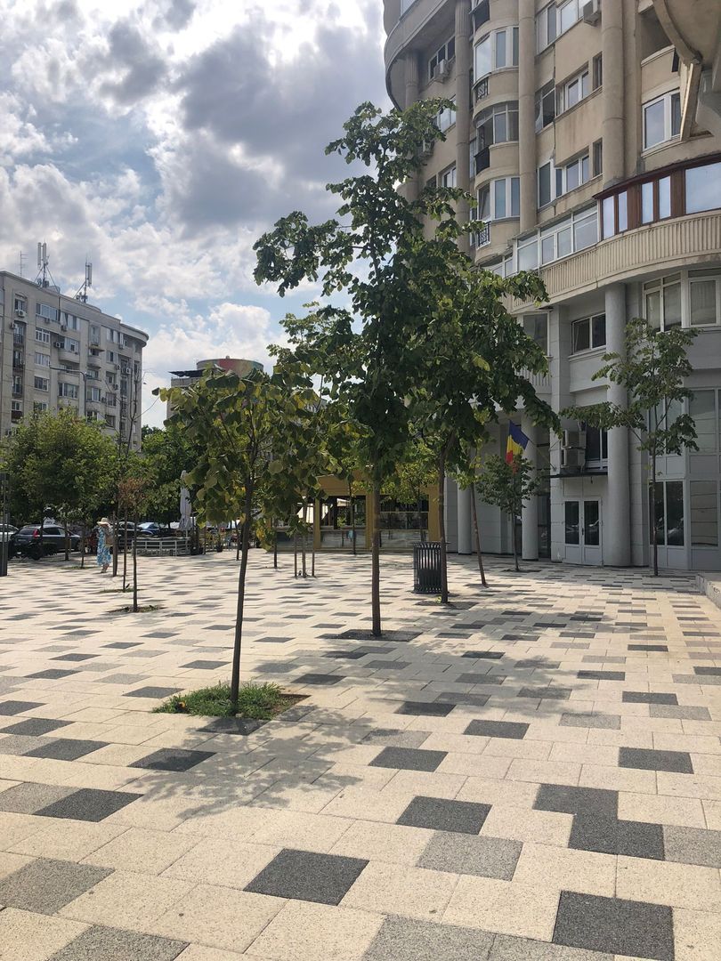 Spatiu comercial stradal || Zona Blvd Decebal || Terasa 110Mp  || Video - Poză 13