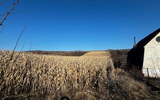 Oportunitate investitie! Teren extravilan Valea Fanatelor, 1ha - Poză 4