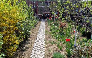 Casă cu două apartamente și teren generos în zona Iulius Mall. - Poză 2