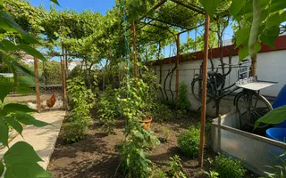 Casa P+1 | 317 mp teren | Ovidiu - Poză 34