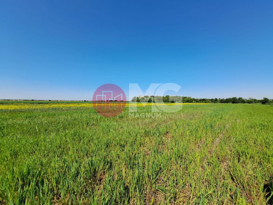 Teren de vanzare in Magurele Ifov Centura Bucuresti - Poză 1