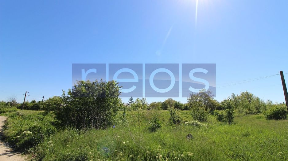 Teren 32000 mp Racari deschidere 82 mp - Poză 5